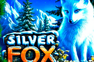 Крупные выигрыши в игровом автомате Silver Fox от Novomatic